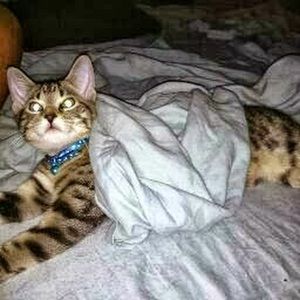 Meet your Posher, Kevin